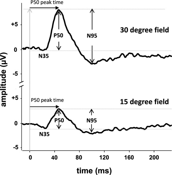 Fig. 1