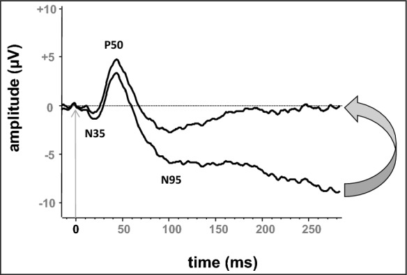 Fig. 2