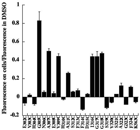 FIG. 3.