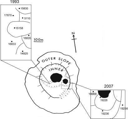 Fig. 3.