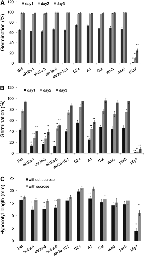 Figure 11.