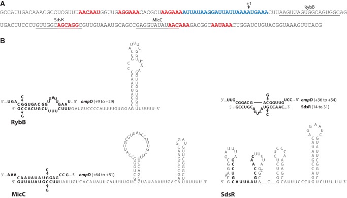 FIGURE 1.