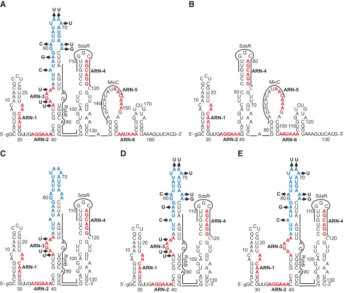 FIGURE 7.