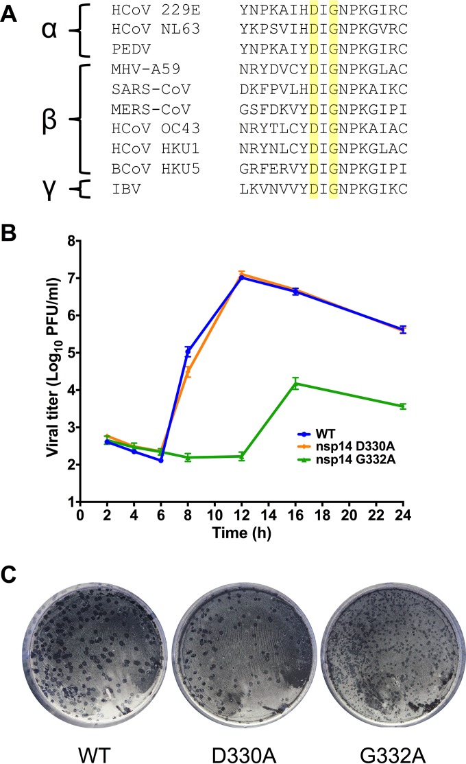 FIG 1