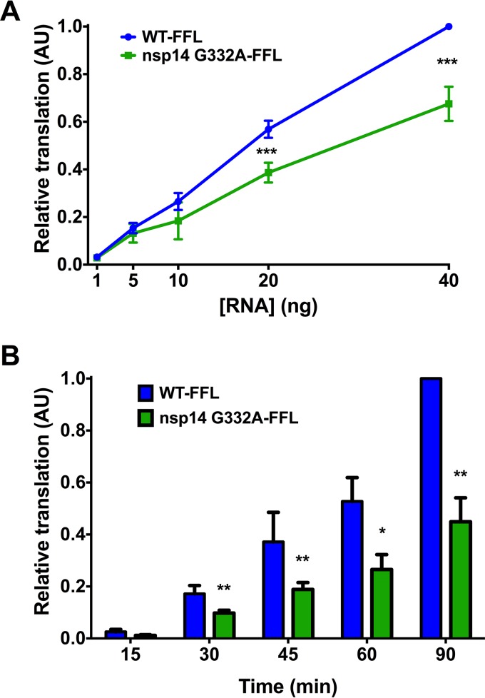 FIG 6