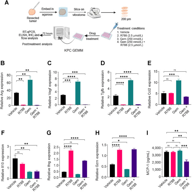 Figure 6. R788 remodels immune microenvironment in KPC GEMM PDAC slice culture. A, Schematic representation of slice culture technique used for generating human and KPC GEMM PDAC slices. B–H, Relative mRNA expression of immune-response genes in the KPC GEMM PDAC slices treated with either 250 nmol/L Gem or 2.5 μmol/L R788 or a combination of both drugs. I, Concentration of MCP-1 (CCL2) in Gem and/or R788-treated slices. Significance testing was performed by one-way ANOVA with Tukey post hoc multiple pairwise testing. ns, not significant; *, P < 0.05; **, P < 0.01; ***, P < 0.001; ****, P < 0.0001.