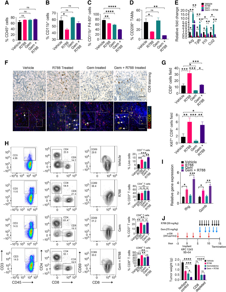 Figure 5. R788 overcomes Gem-induced immunosuppression and increases cytotoxic T cells in PDAC. A–D, FACS quantification of intratumoral CD45+ cells (A), CD11b+ cells (B), CD11b+Gr1−F4/80+ TAMs (C), and CD206+ TAMs (D) in end-stage KPC1245 tumors (n = 4) from Fig. 4C. E, Relative mRNA expression data of immunosuppressive genes in KPC1245 tumors from Fig. 4C (n = 3). F, IHC of KPC1245 PDAC tumors for CD8 (scale bar, 20 μm; top) and IF staining of CD8 (yellow) and Ki67 (red) in KPC1245-PDAC tumors (bottom). G, Quantification of CD8+ cells/40× (n = 3; top) and quantification of Ki67+CD8+ cells/40× (bottom) in tissue sections. Scale bar, 20 μm H. FACS plots (right) and quantification (left) of CD3+, CD4+ CD8+ T cells, CD44+CD62L−, CD69+ T cells in KPC1245 PDAC. I, Relative mRNA expression of Ifnγ and Gzmb in KPC1245 tumors (n = 3). J, Top, schema showing administration of different drugs together with anti-CD8 depleting antibodies. Bottom, weight of pancreata containing KPC1245 tumors. Significance testing was performed by one-way ANOVA with Tukey post hoc multiple pairwise testing. *, P < 0.05; **, P < 0.01; ***, P < 0.001; ****, P < 0.0001; ns, not significant.