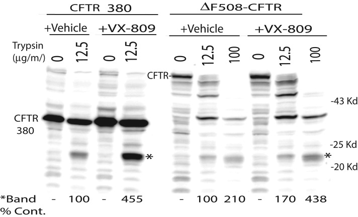 FIGURE 2: