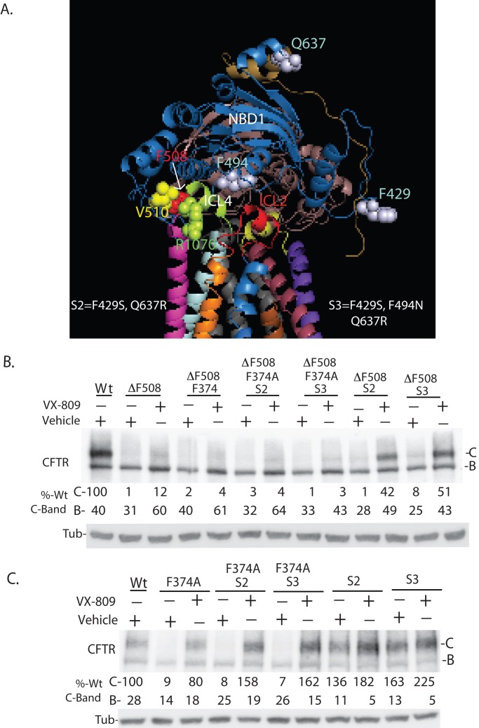 FIGURE 5: