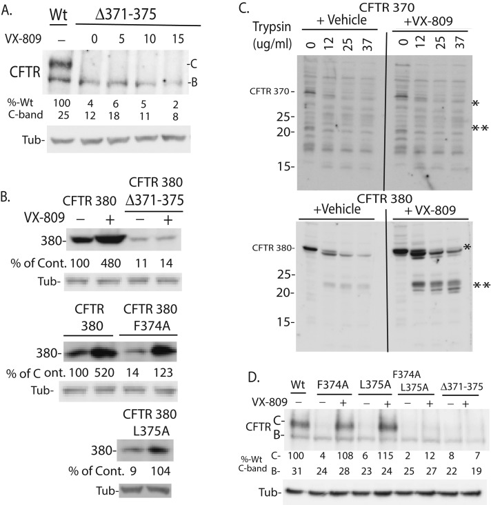 FIGURE 3: