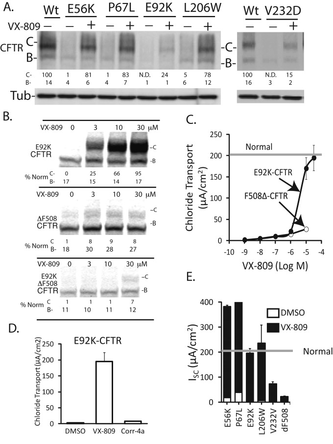 FIGURE 4: