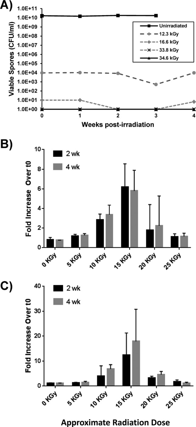 FIG 6