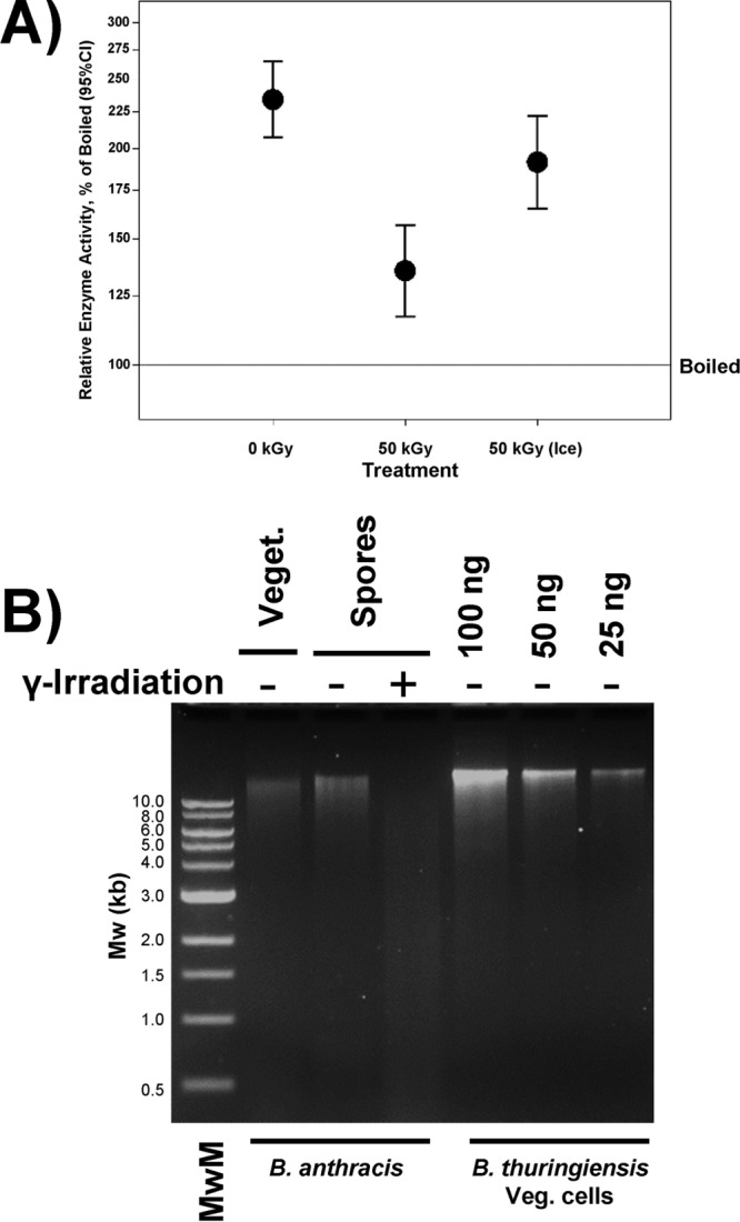 FIG 7