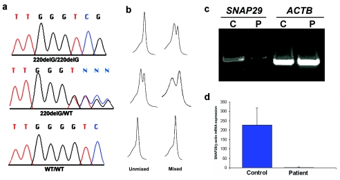 Figure  2