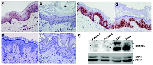 Figure  3