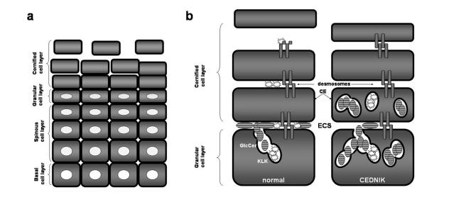 Figure  6