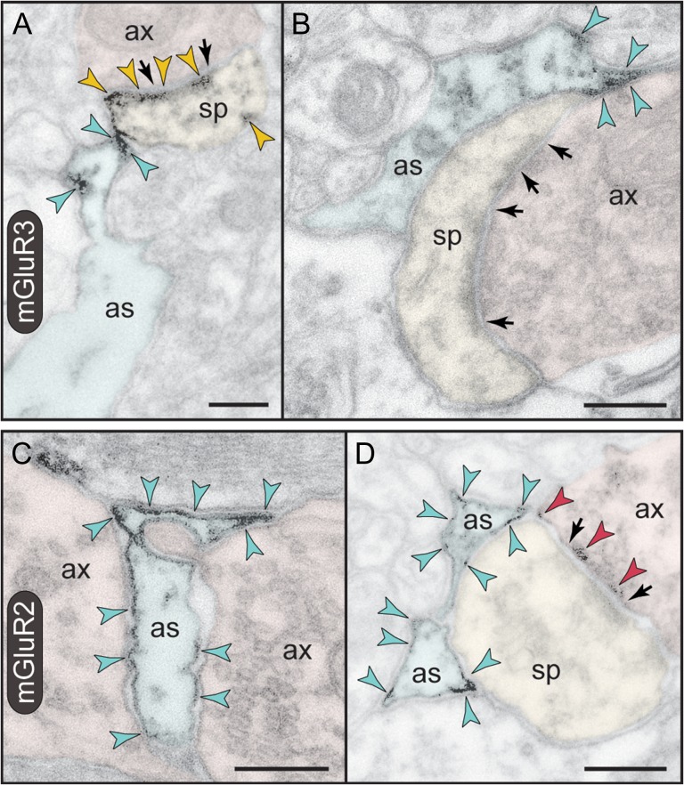 Figure 6.