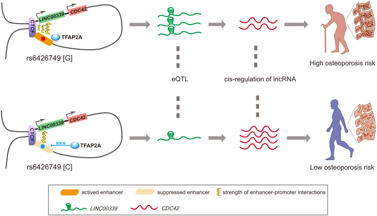 Figure 6