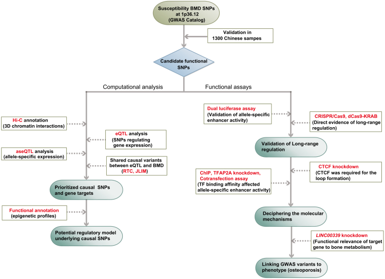 Figure 1