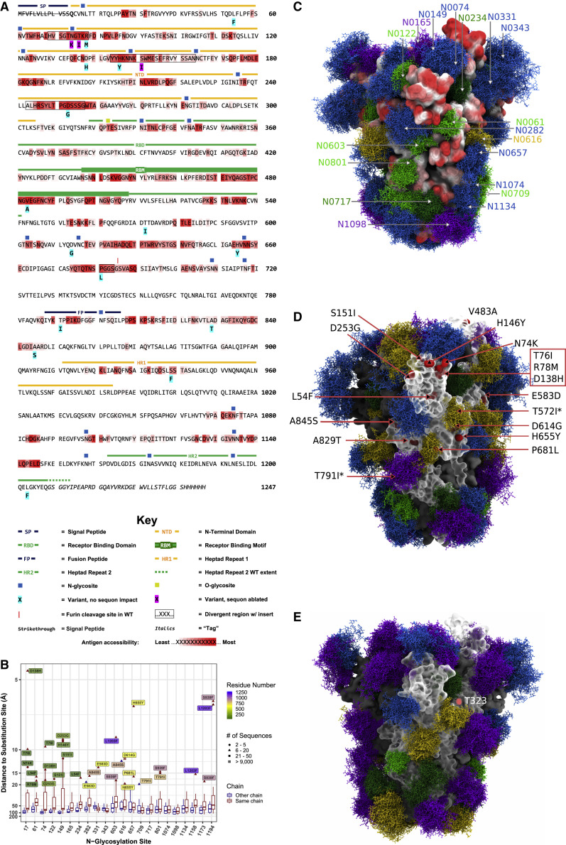 Figure 4