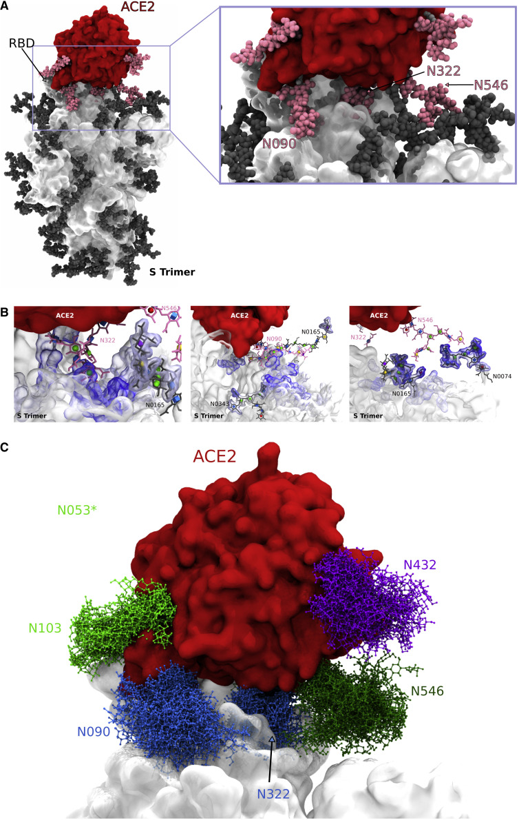 Figure 7