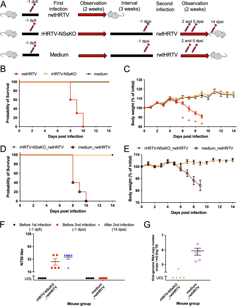 FIG 6