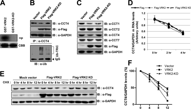 FIG 2