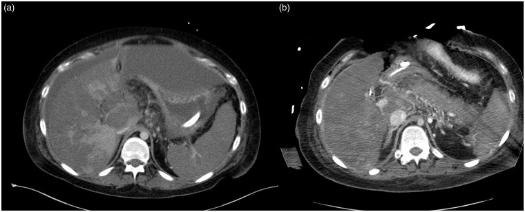 Fig. 4.