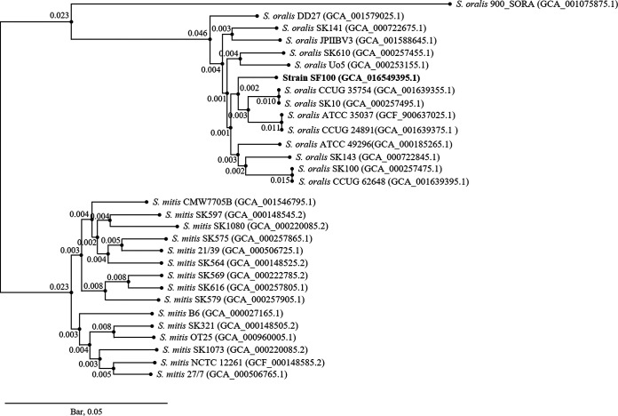 FIG 1