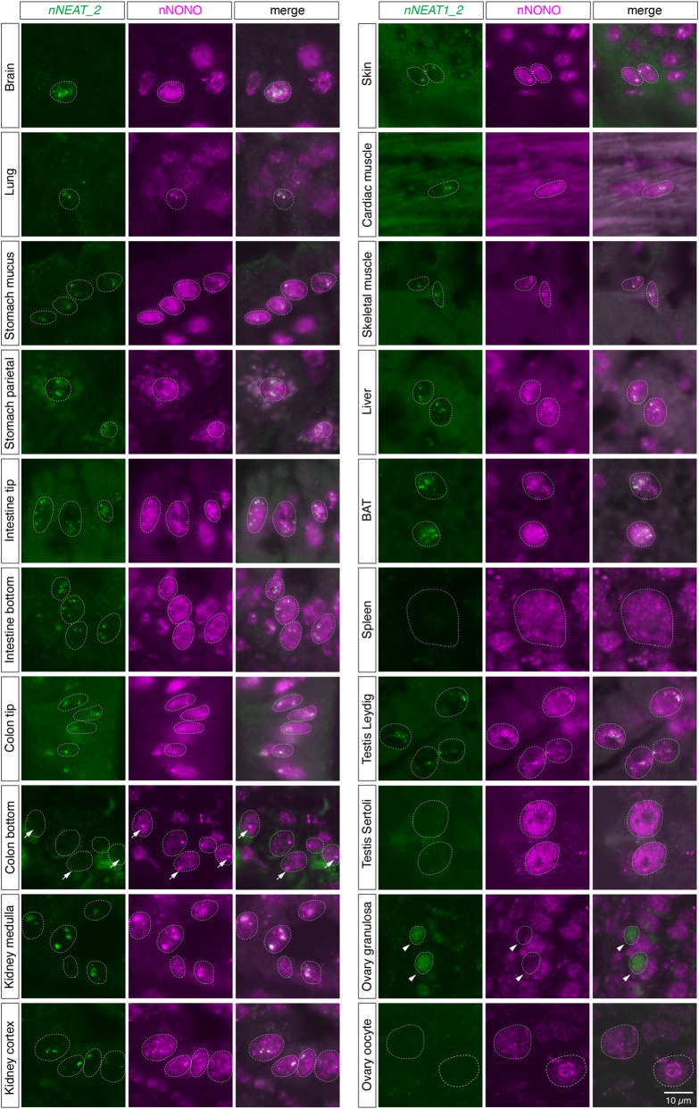 FIGURE 5.