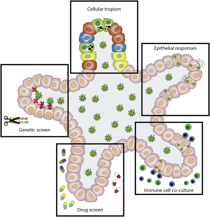 Figure 2