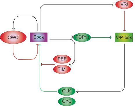 Figure 6.