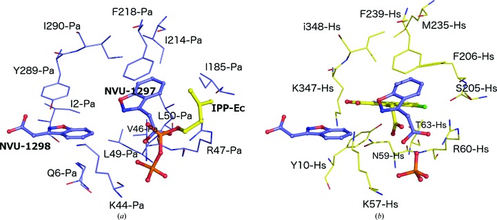 Figure 7