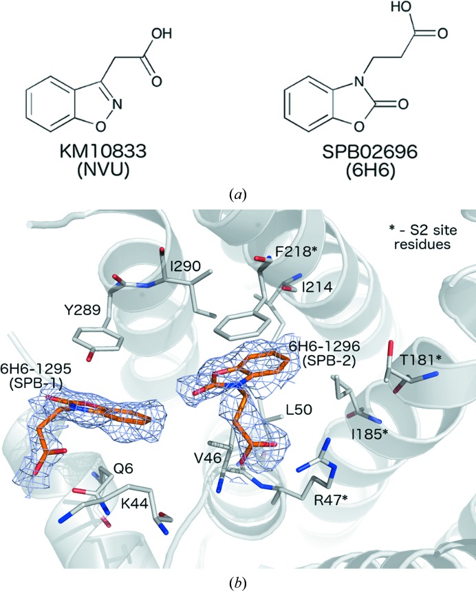 Figure 6