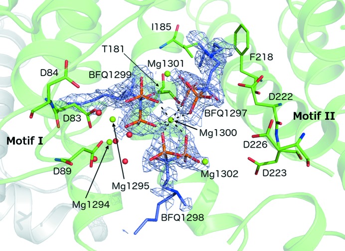 Figure 5