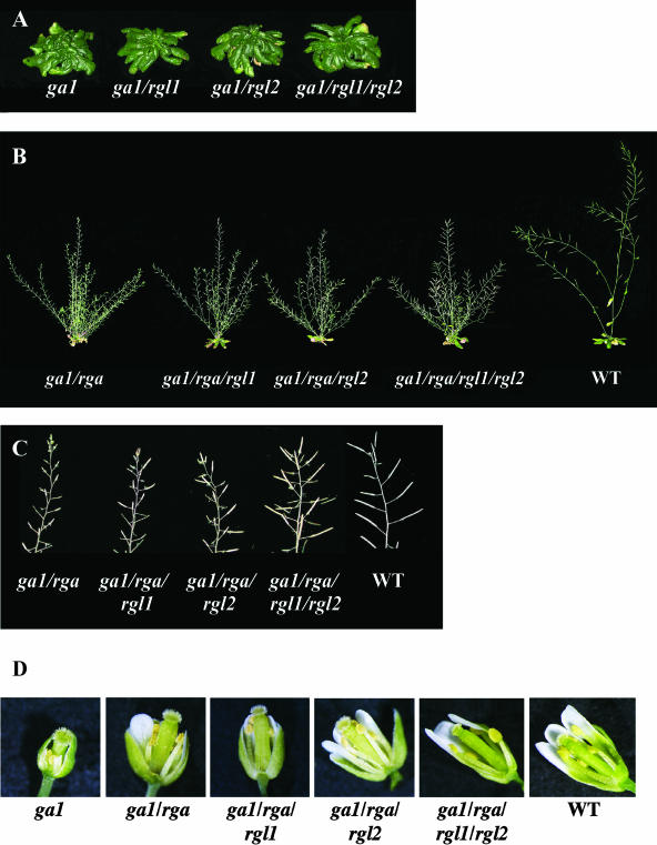 Figure 4.