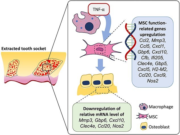 Graphical Abstract