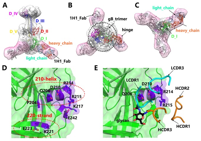 Fig 4