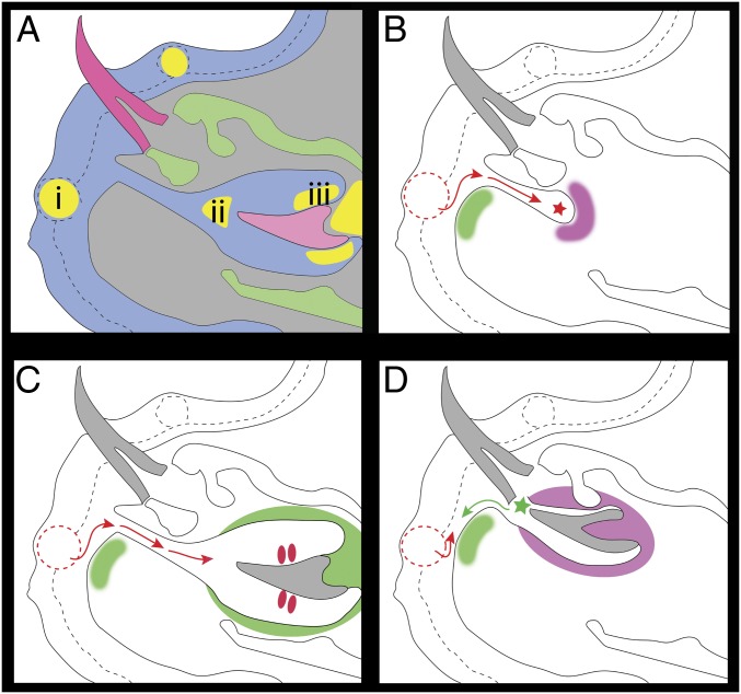 Fig. 7.