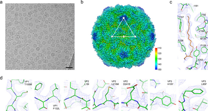 Fig. 8