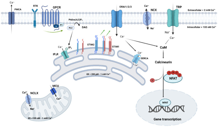 Figure 2