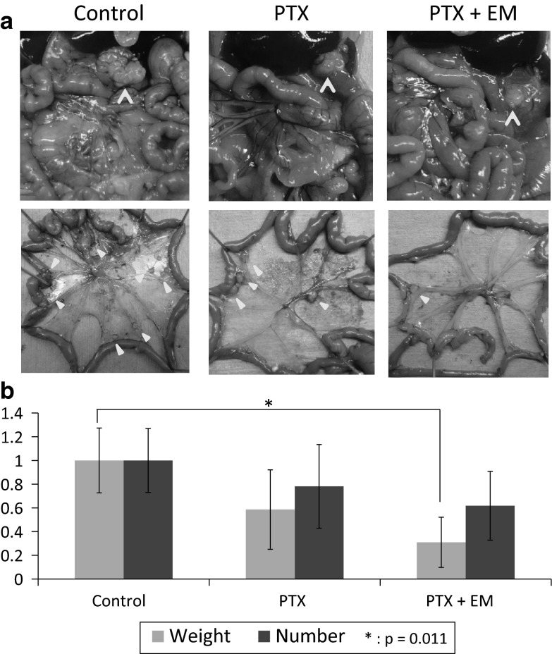 Fig. 7