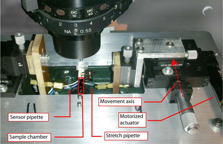 Figure 1.