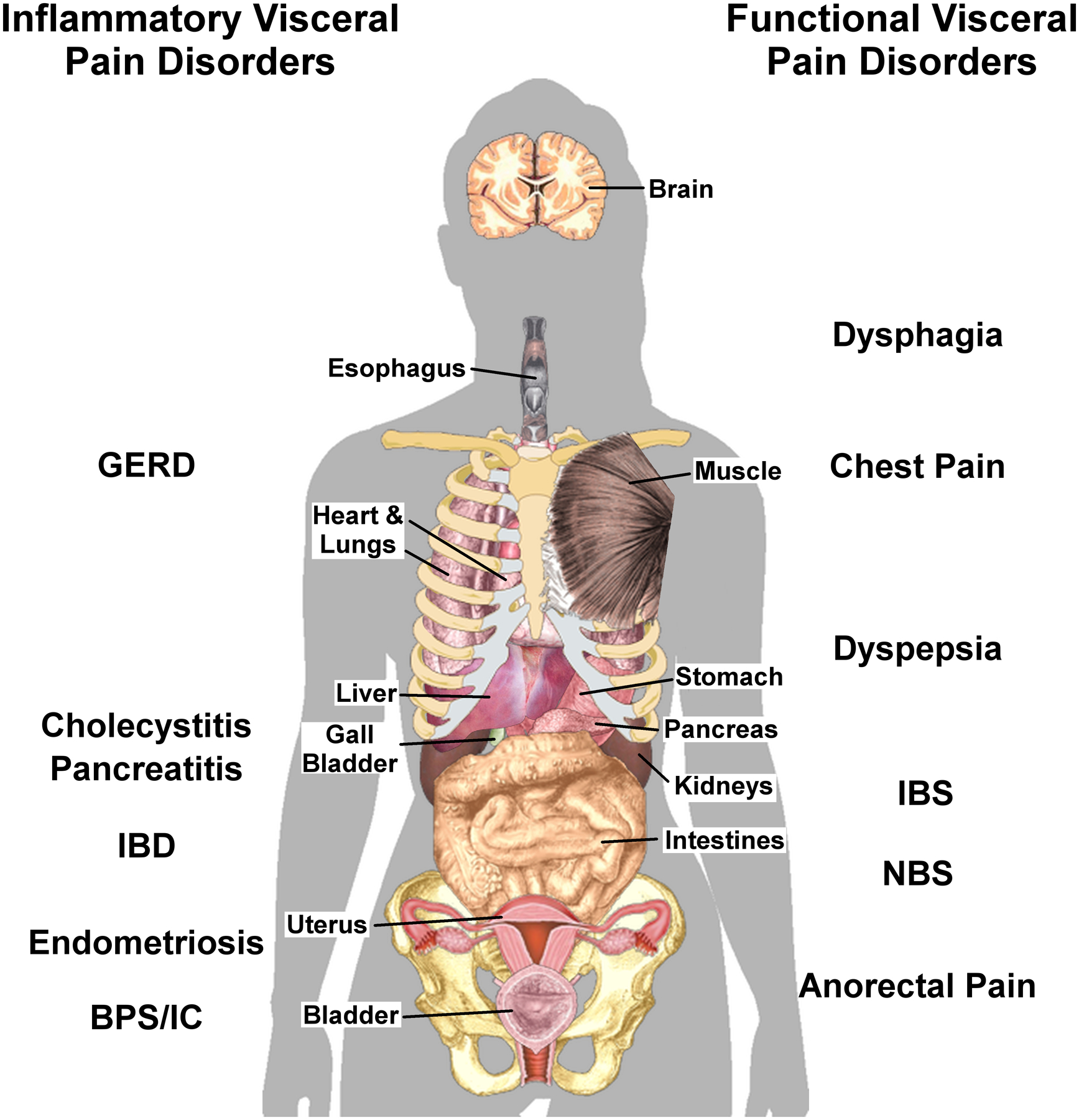 Figure 1: