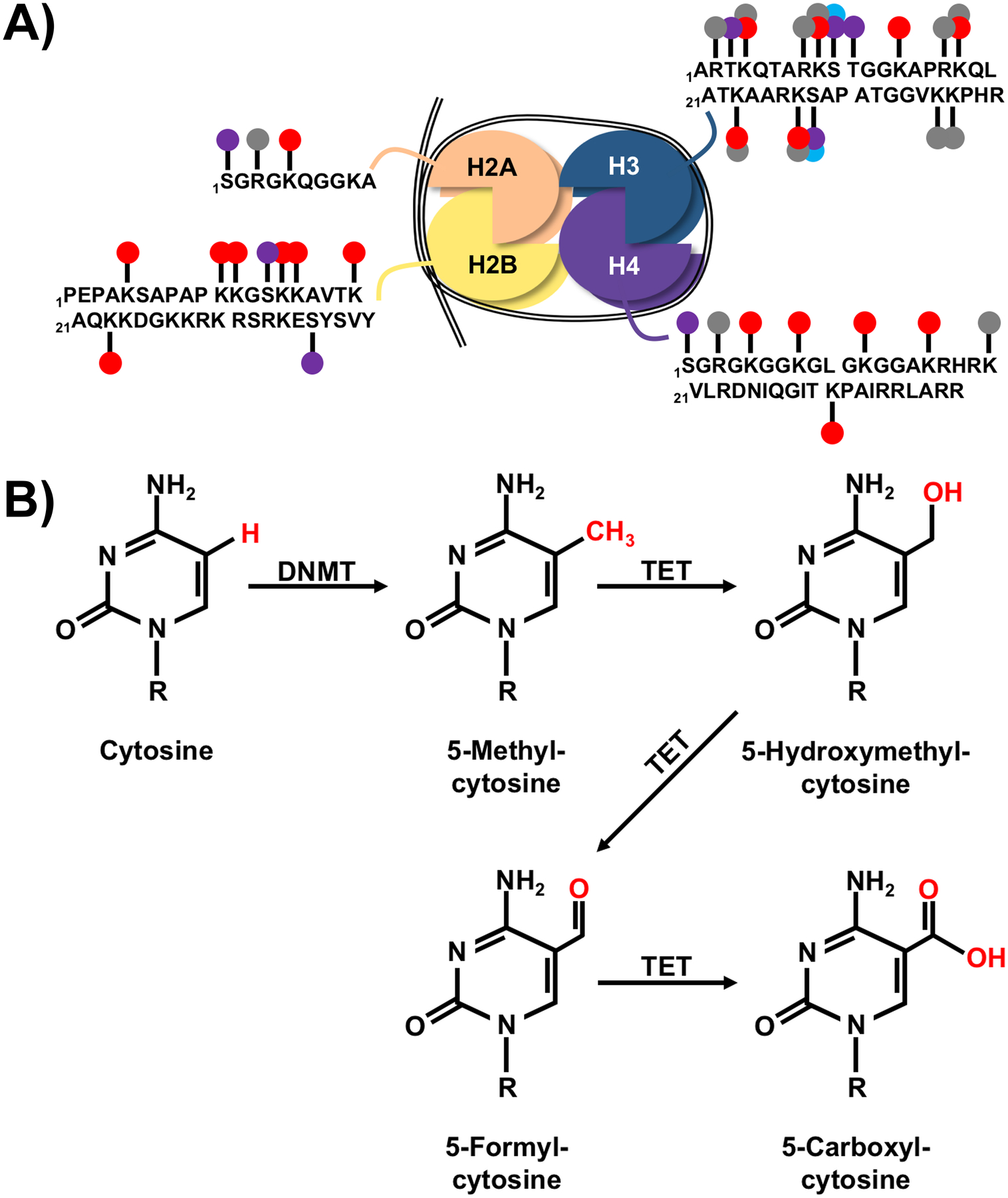 Figure 2: