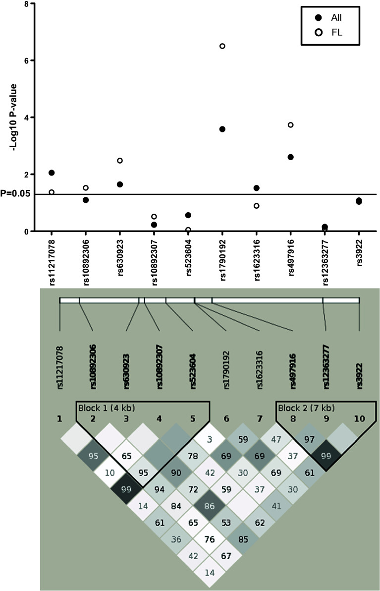 Fig. 1