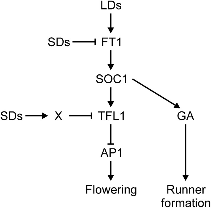 Figure 9.