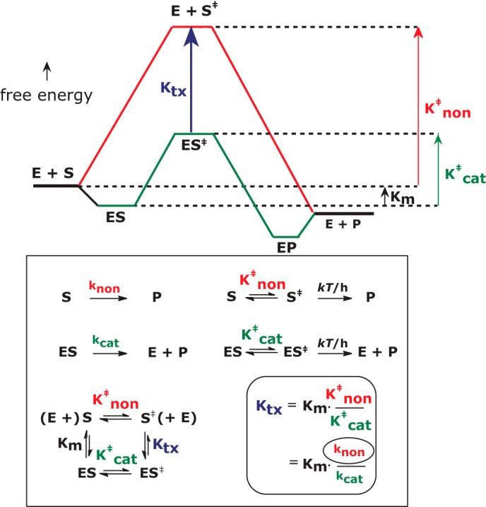 FIGURE 1.