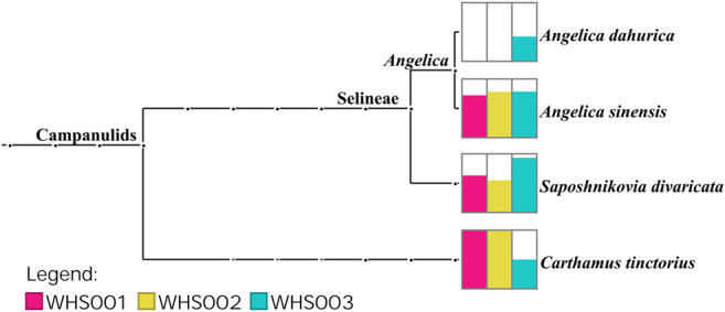 FIGURE 3