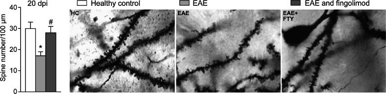 Fig. 3